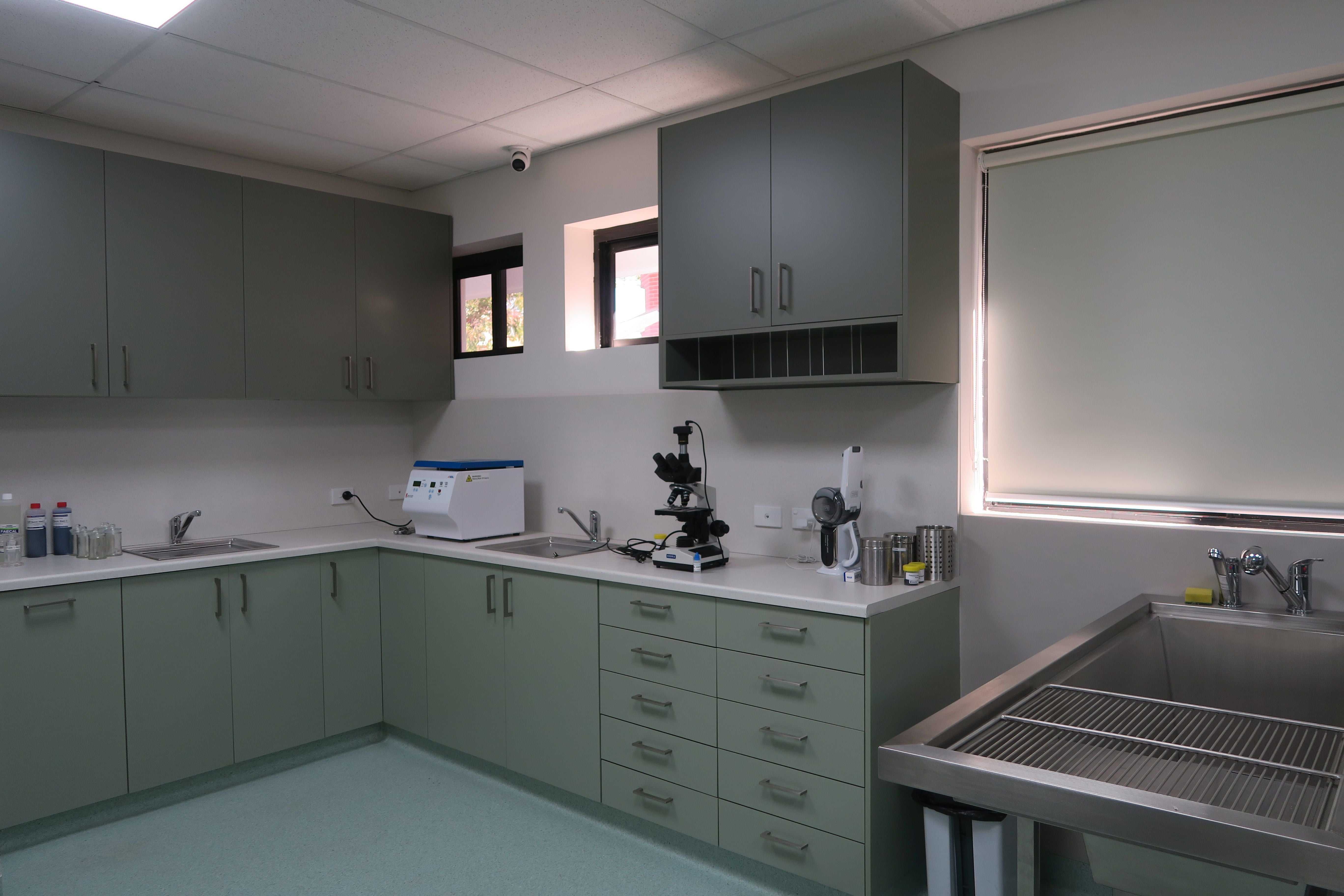 Advanced Veterinary Diagnostics