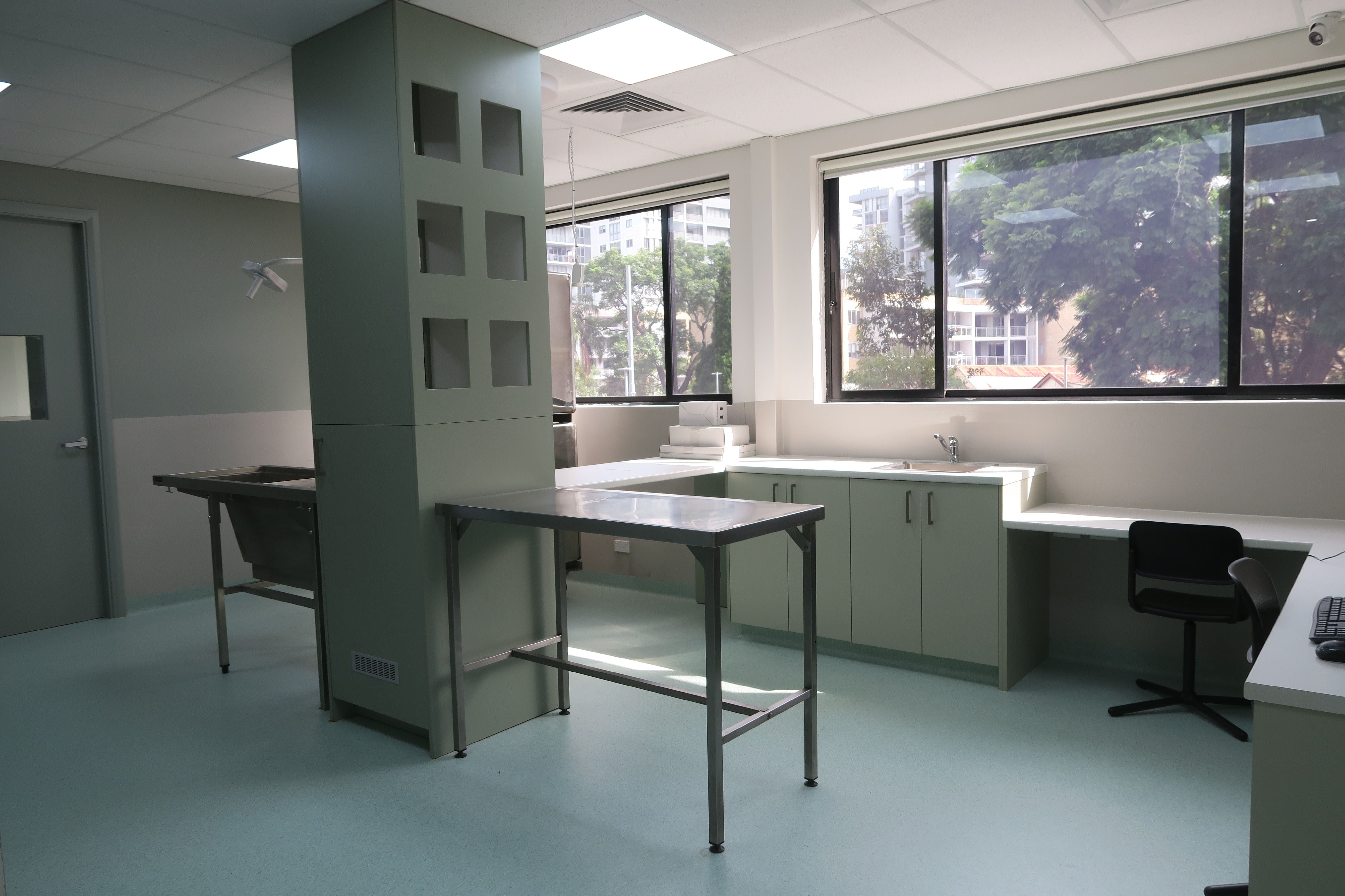 Consultations - nose-to-tail