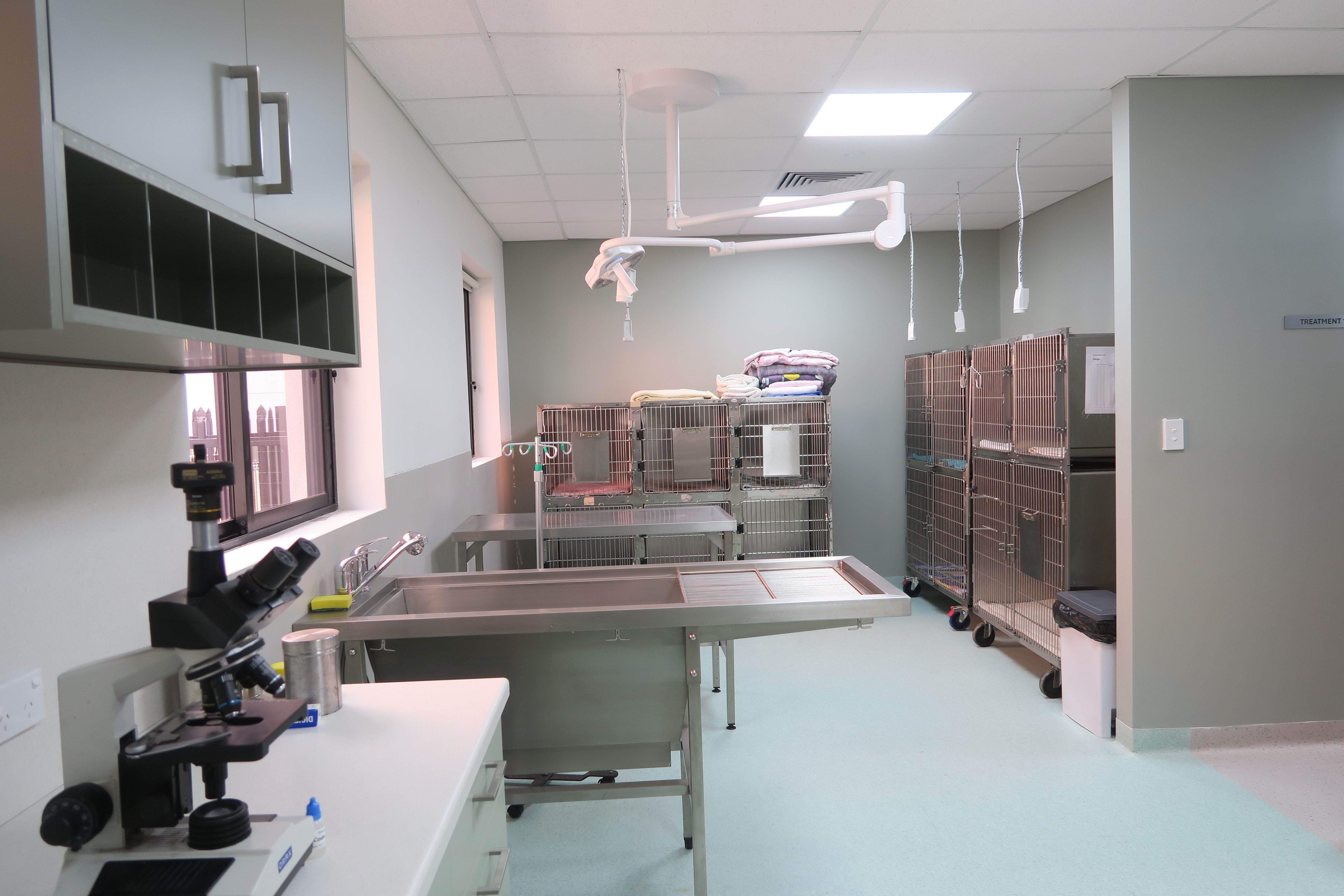 Pet Dental Care Pet Dental Care