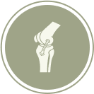 Cruciate Ligament Surgery