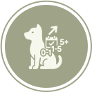 Enrolment Age Enrolment Age