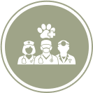Experienced veterinary nurses and vets Experienced veterinary nurses and vets