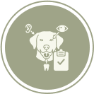 Eyes, Ears, and Oral Health