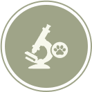 Hormone Monitoring Hormone Monitoring