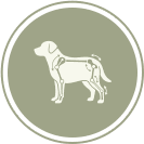 Joint and Mobility Check