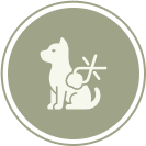 Lump & Mass Removals Lump & Mass Removals