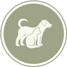 Puppies and Kittens Puppies and Kittens