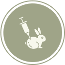 Rabbit Vaccinations