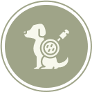 Skin and Coat Inspection