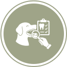 Thorough oral health assessments Thorough oral health assessments