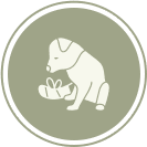 Wound & Trauma Repair Wound & Trauma Repair