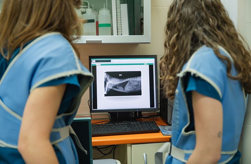 Safety & Comfort Protocols Safety & Comfort Protocols