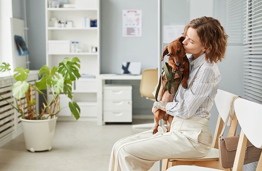 Fear-Free philosophy