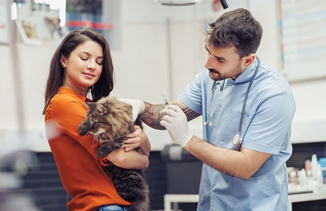 One Payment. A Lifetime of Protection.