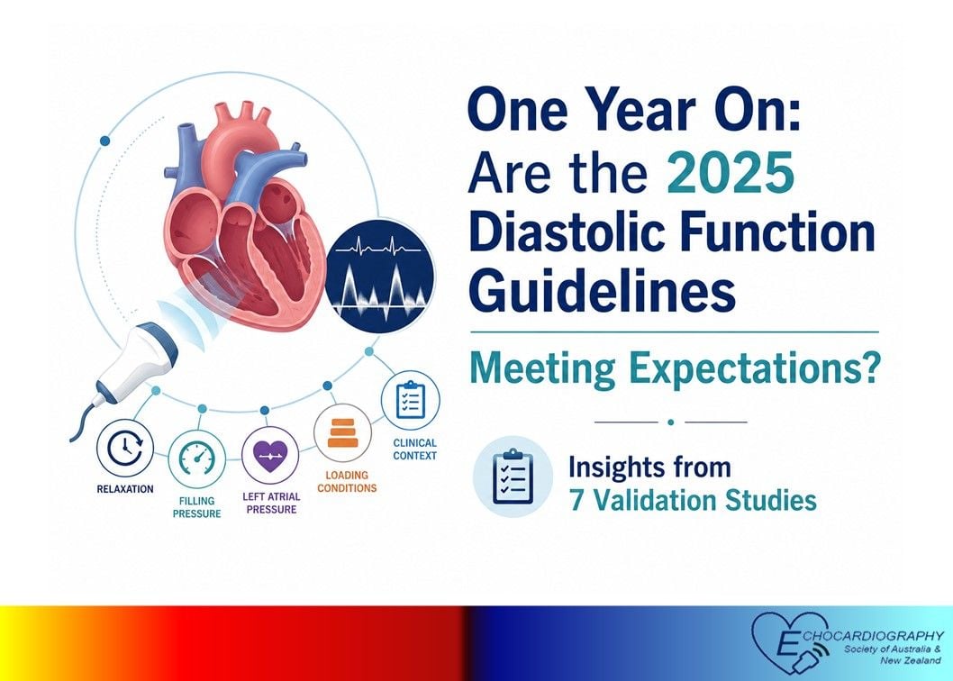 One Year On: Are the 2025 Diastolic Function Guidelines Meeting Expectations? What Seven Independent Validation Studies Tell Us