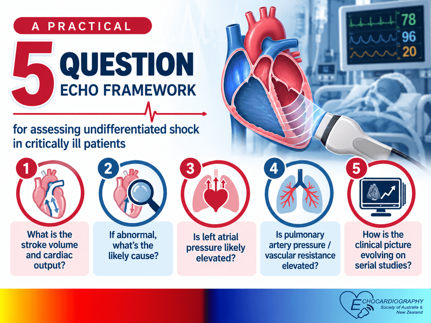 5-Question Echo Approach to Undifferentiated Shock