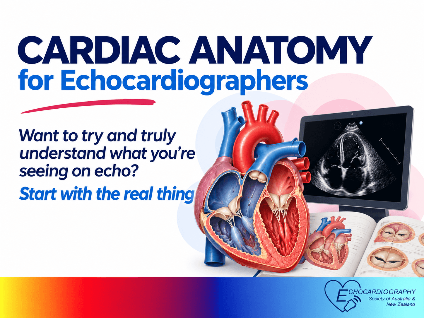 Want to try and truly understand what you’re seeing on echo? Start with the real thing Want to try and truly understand what you’re seeing on echo? Start with the real thing