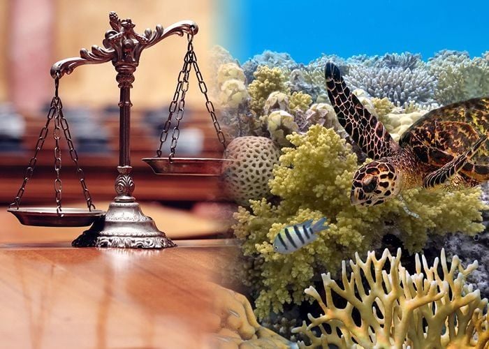 Last chance to book Cairns In-person ASM Tickets Last chance to book Cairns In-person ASM Tickets