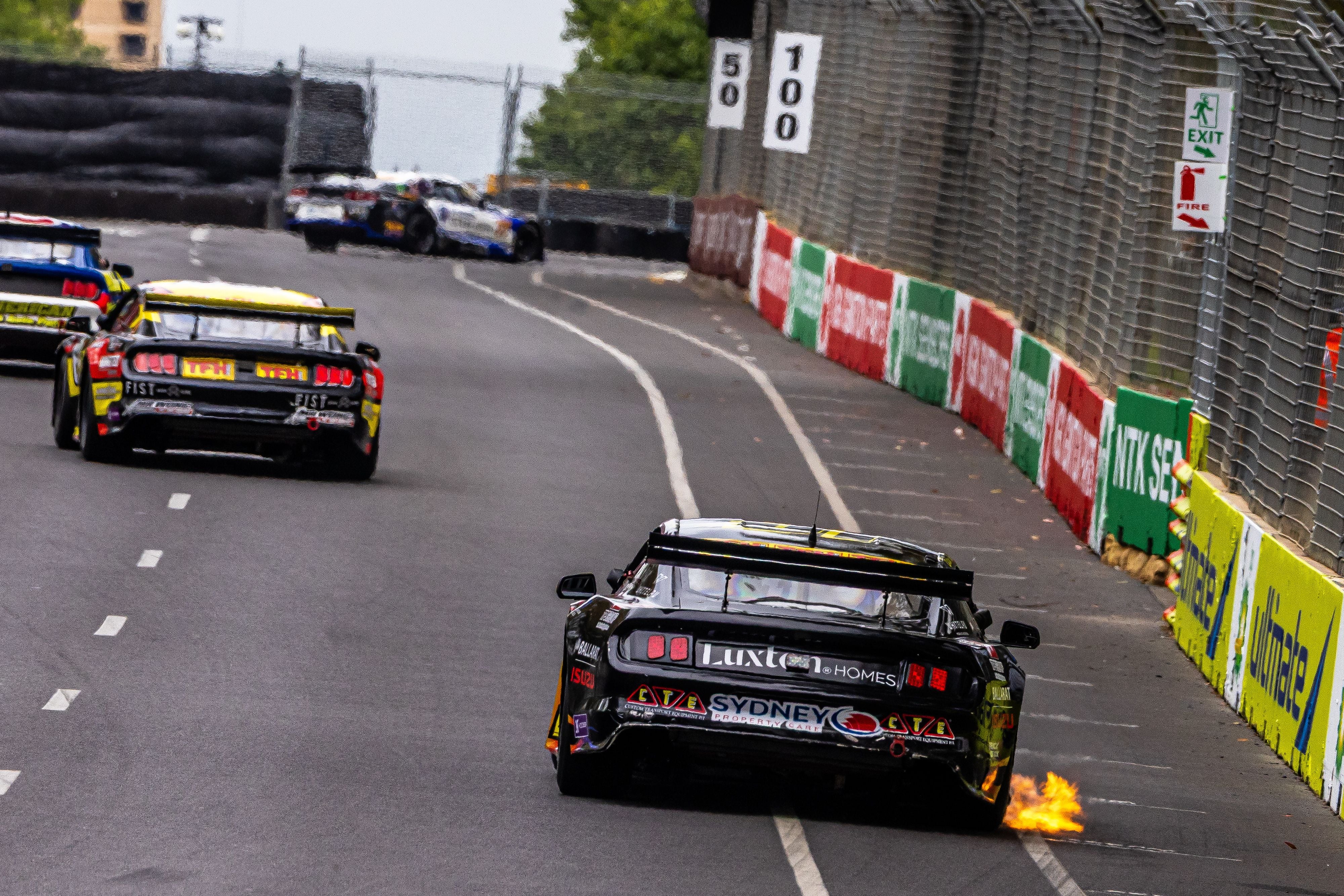 2025 Gallery Image -69a8b490578db