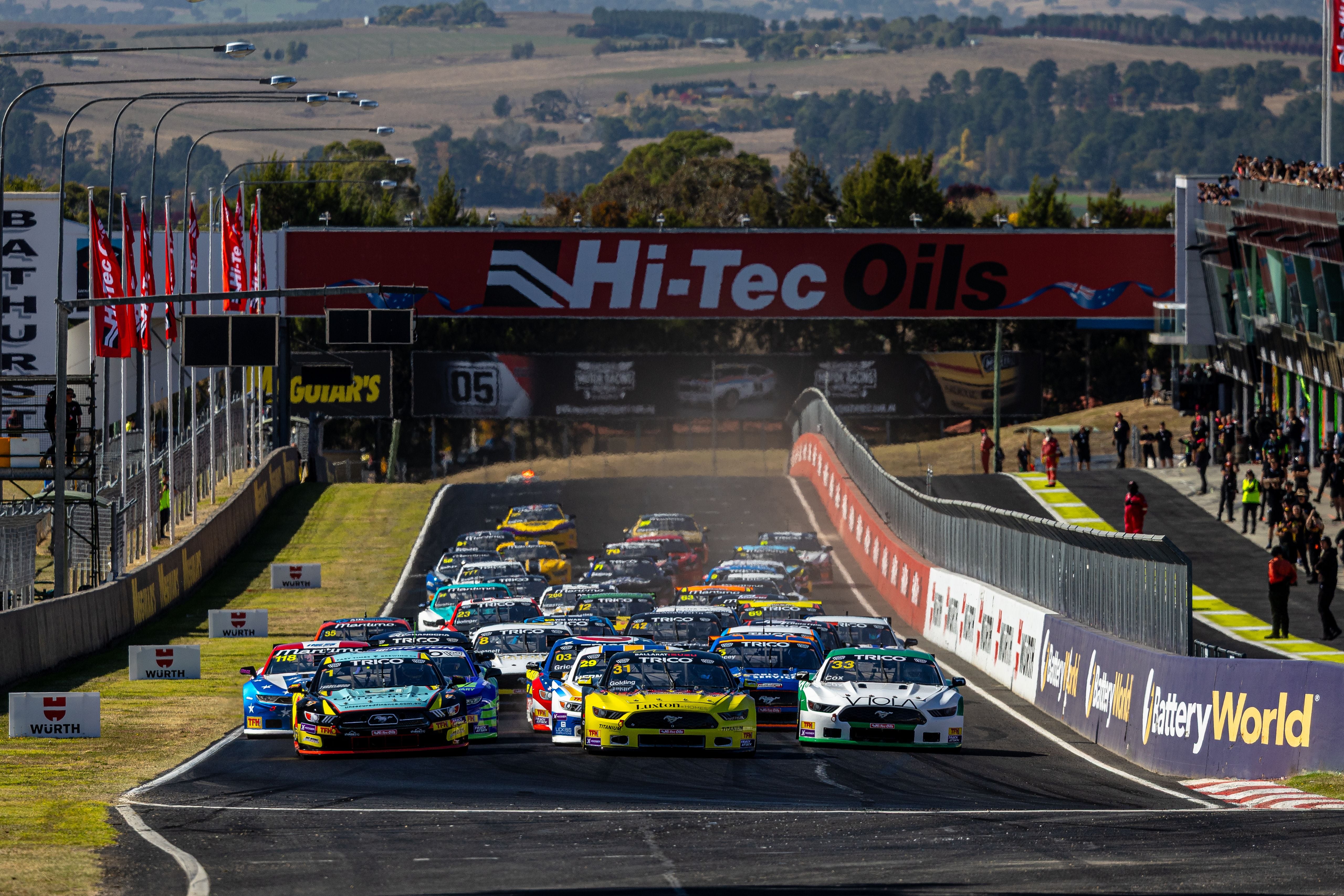 2025 Gallery Image -69a8b4a60acea