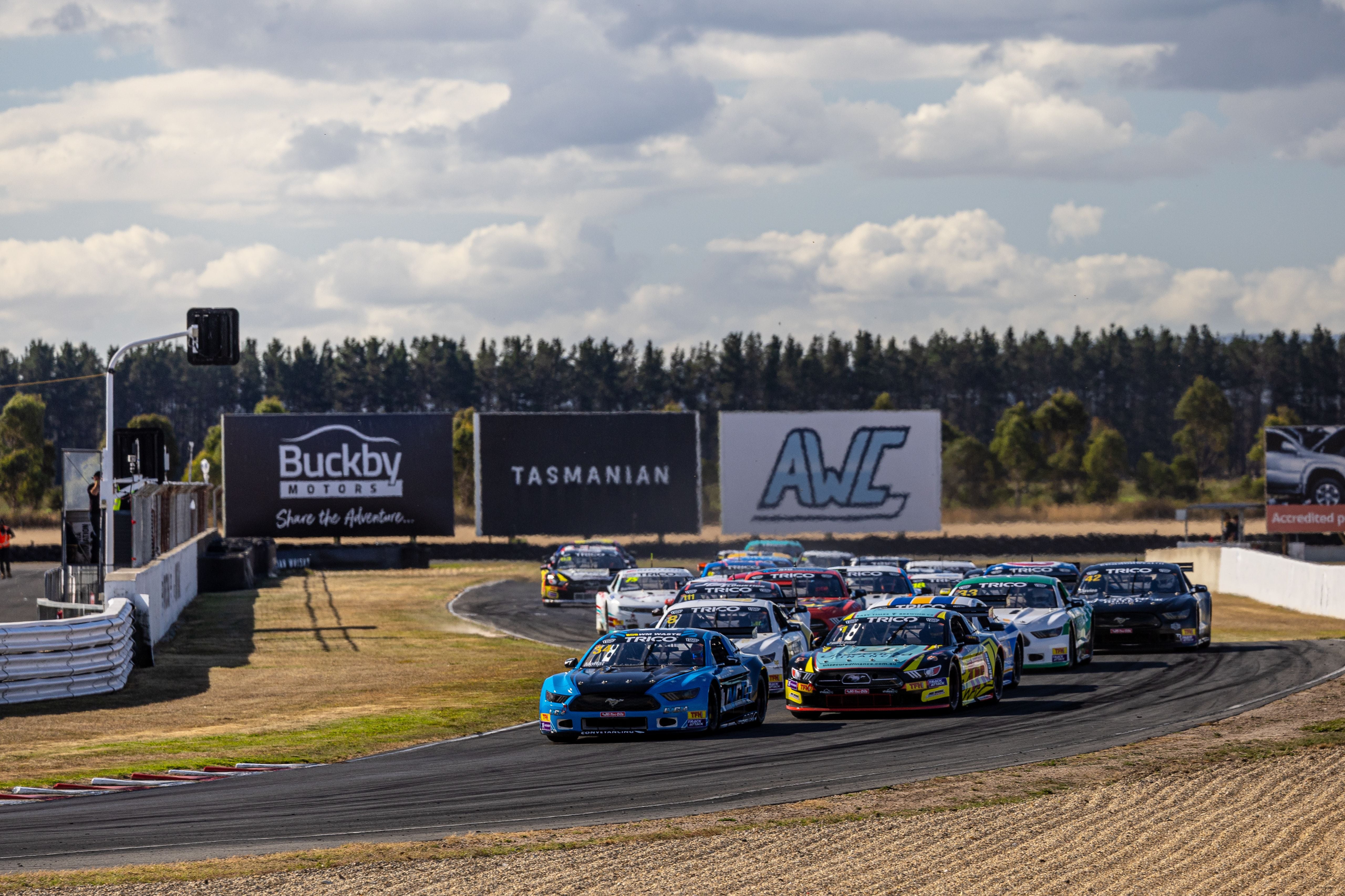 2025 Gallery Image -69a8b4be7a4df