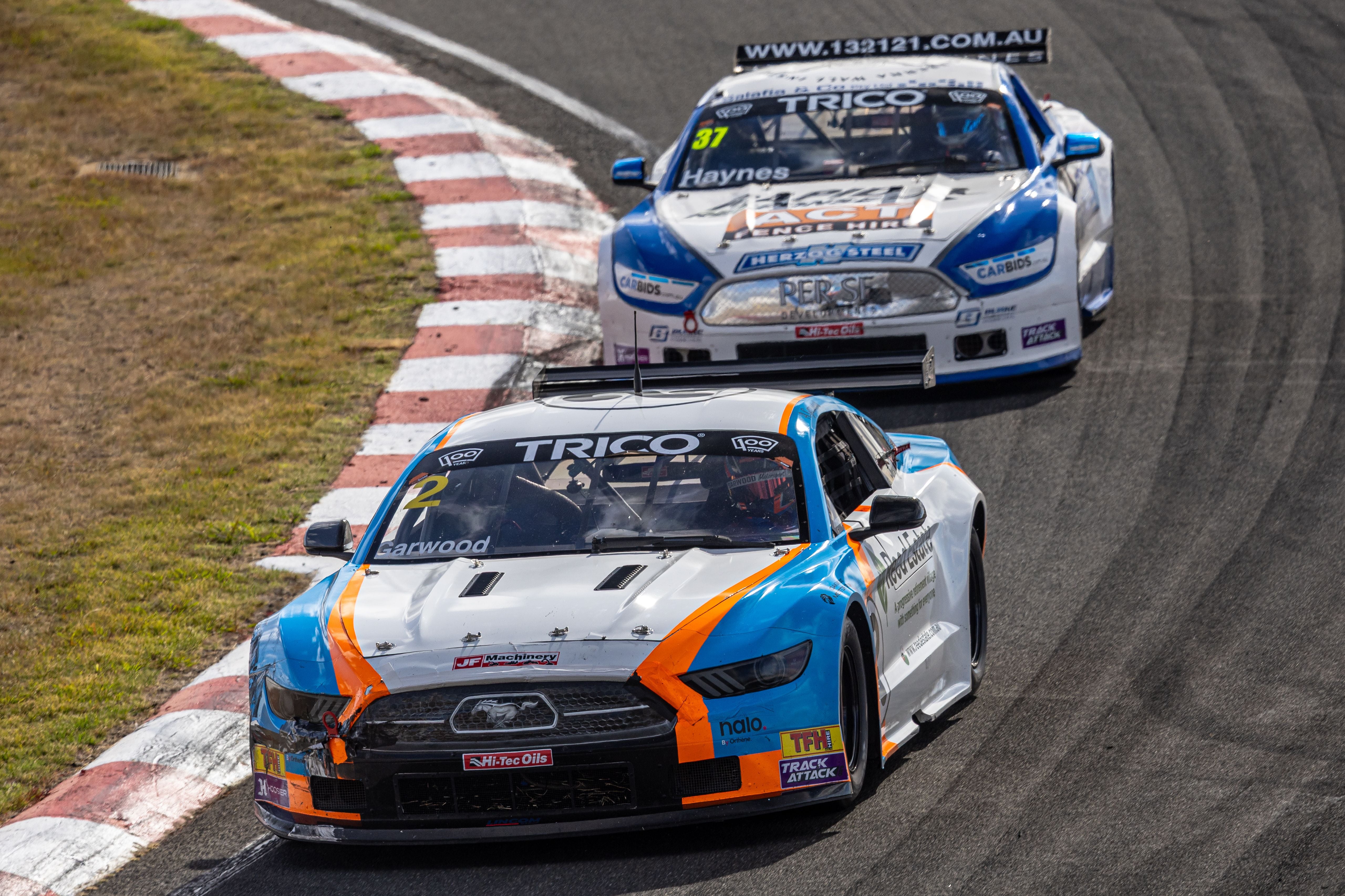 2025 Gallery Image -69a8b4c8431b0