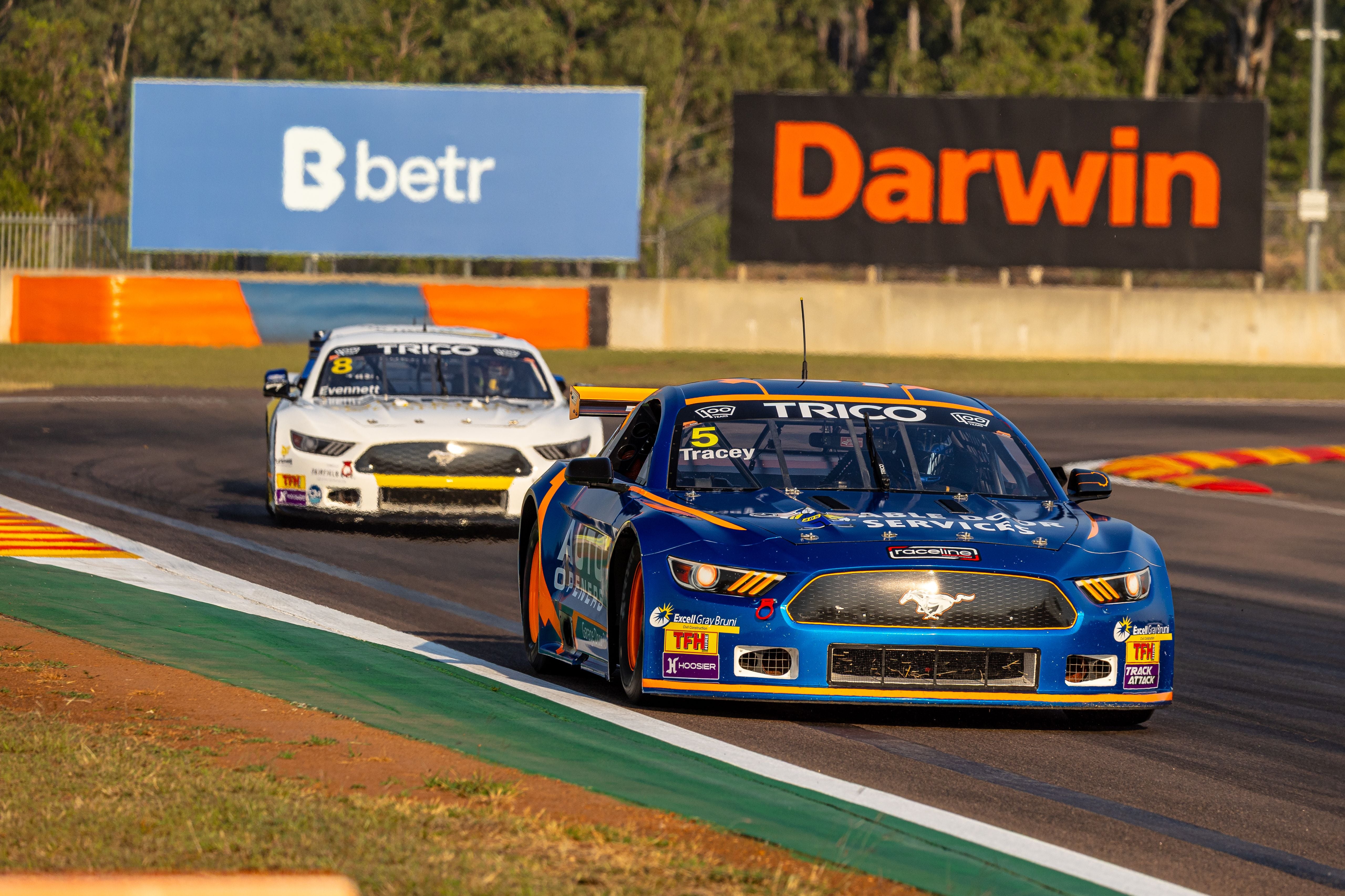 2025 Gallery Image -69a8b4e431304