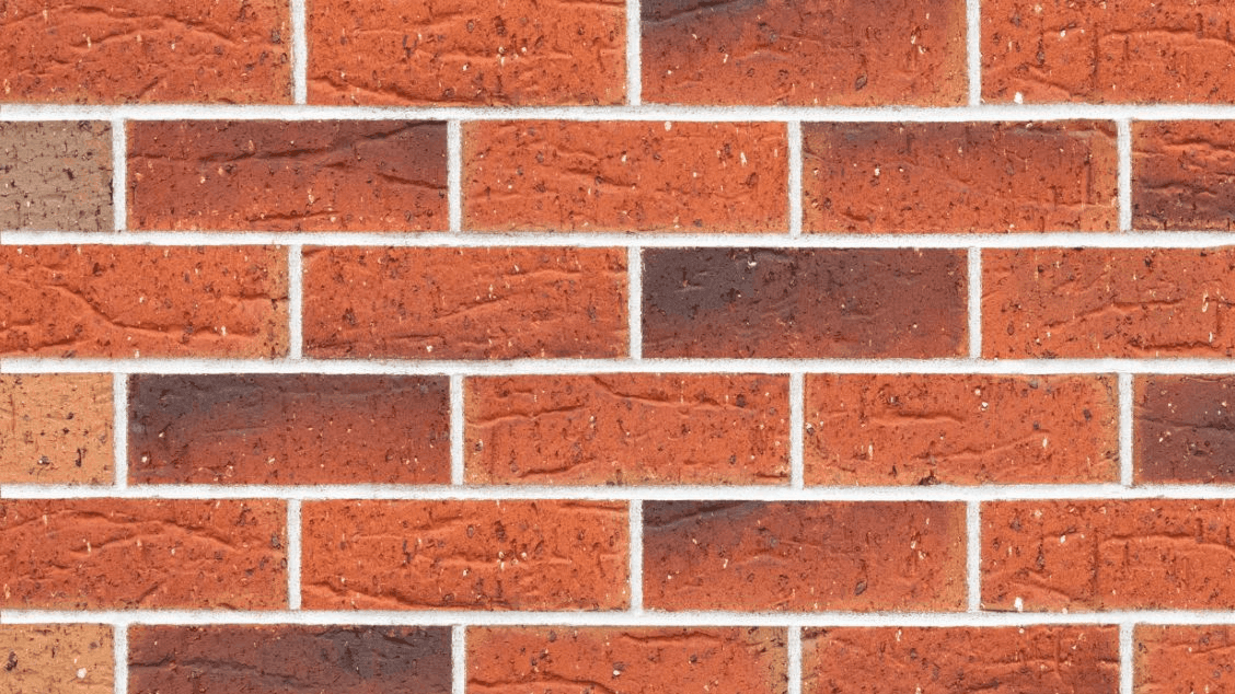 Selkirk Ciena Bricks Selkirk Ciena Bricks