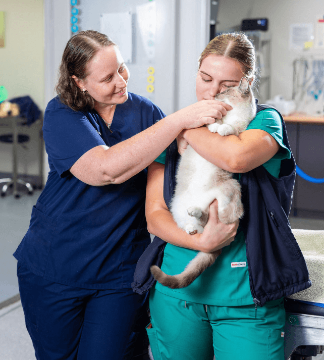 Palliative Care & Euthanasia