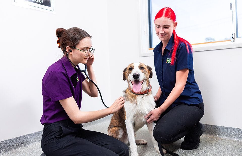 Routine 6 monthly health checks