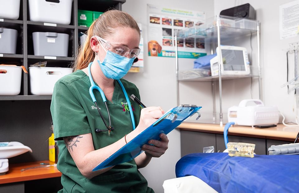 Dental Care