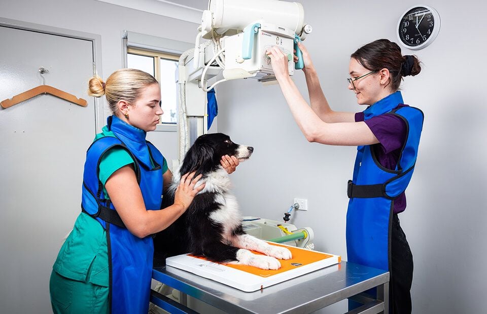Direct Digital X-ray Radiology