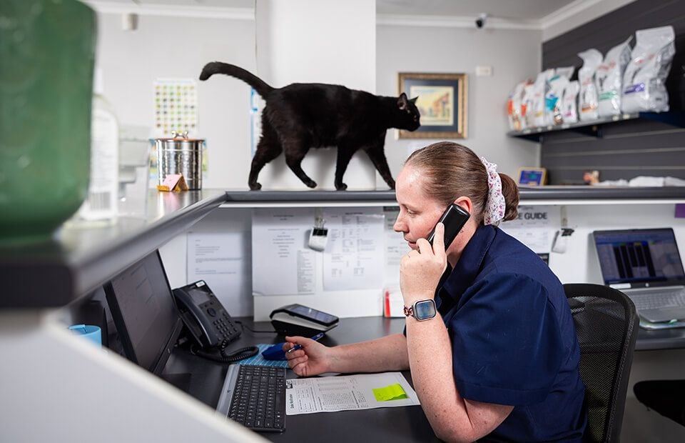 In-Clinic Payments