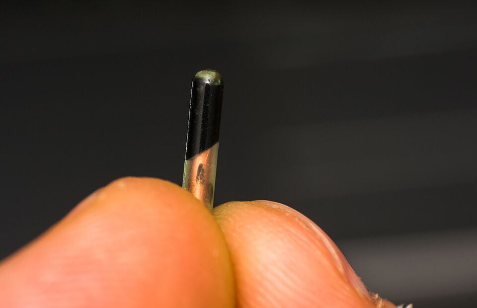 Microchipping