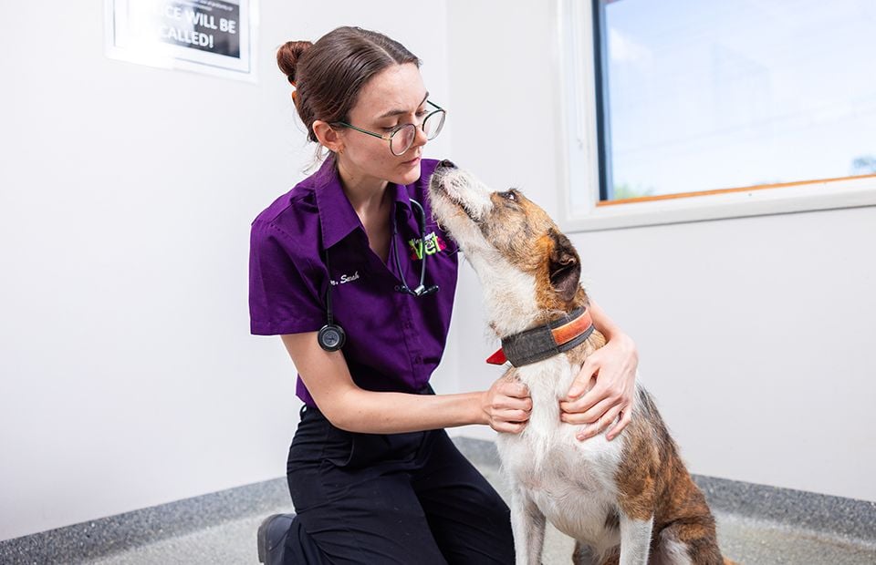 Palliative Care & Euthanasia