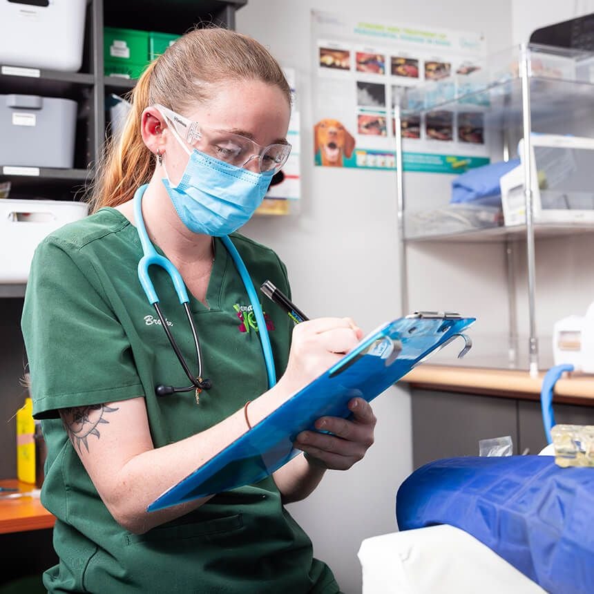 Dental Services