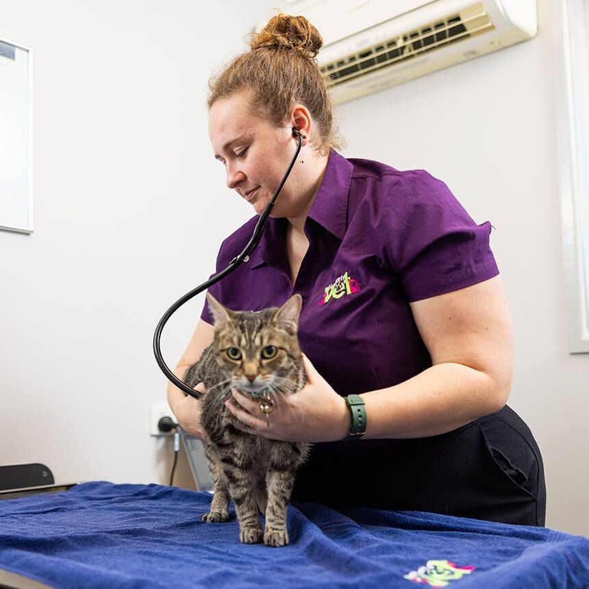 General Medical Care