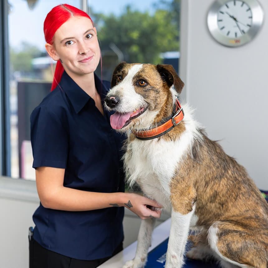 Routine & Preventative Care
