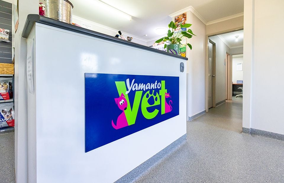 Yamanto Veterinary Surgery Our Mission