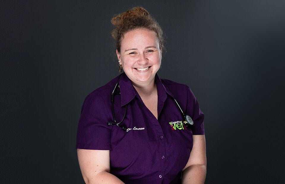 Dr Lauren Dr Lauren