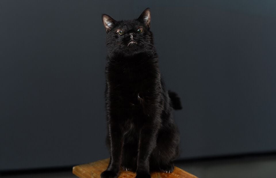 Pablo Pablo