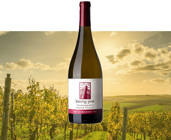 Niagara&rsquo;s Chardonnays: The Bottles That Truly Impressed