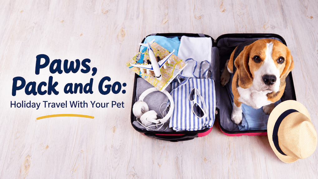 Paws, Pack and Go: Holiday Travel With Your Pet