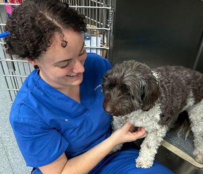 Vet Nurse and Puppy