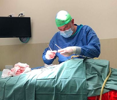 Veterinary Surgeon
