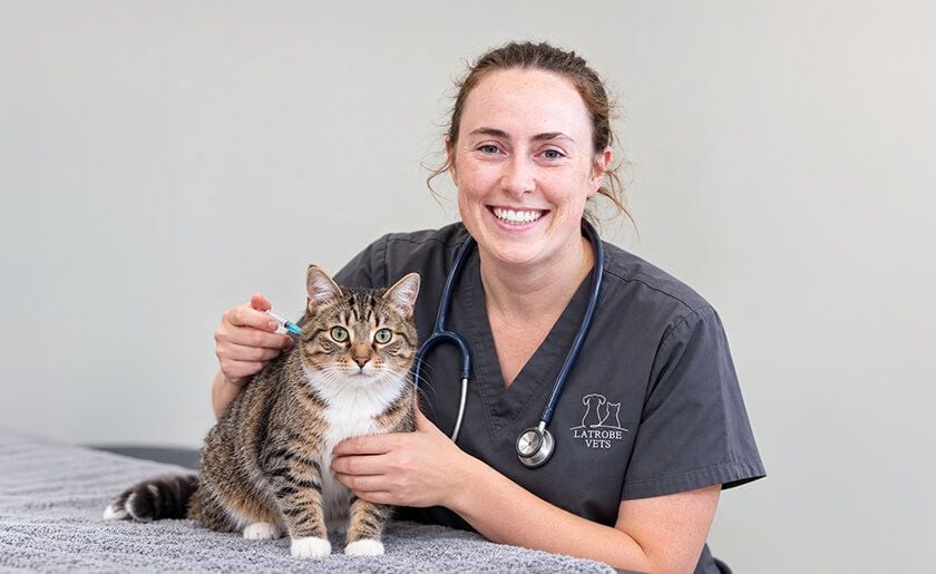 Vaccinations are Part of Preventative Healthcare Vaccinations are Part of Preventative Healthcare