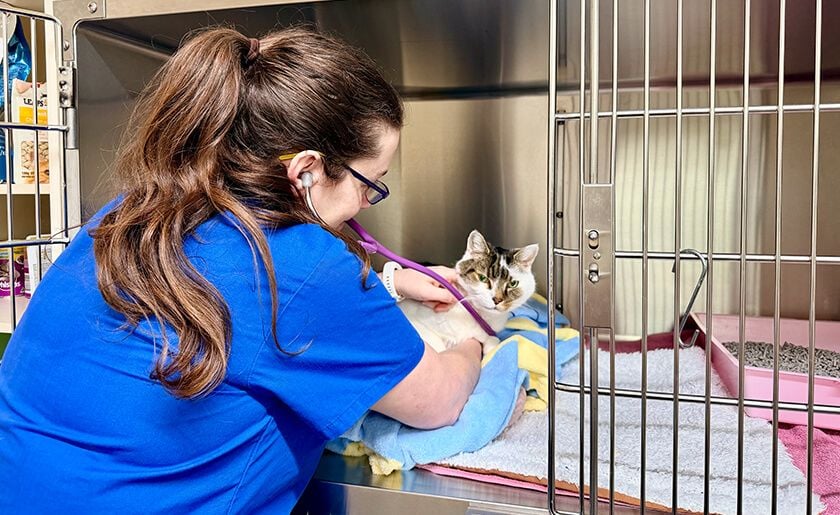 Gentle, thoughtful care Gentle, thoughtful care