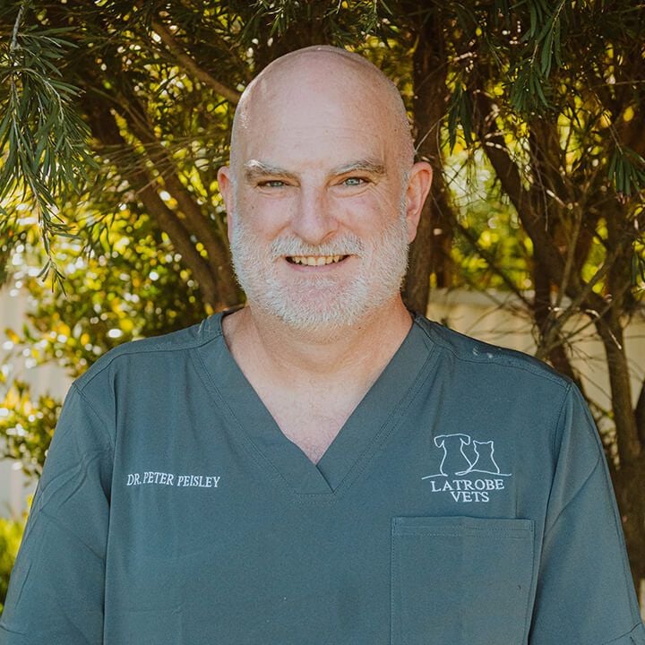 Dr. Peter Peisley