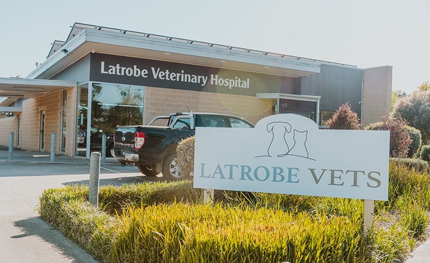 Latrobe Vets