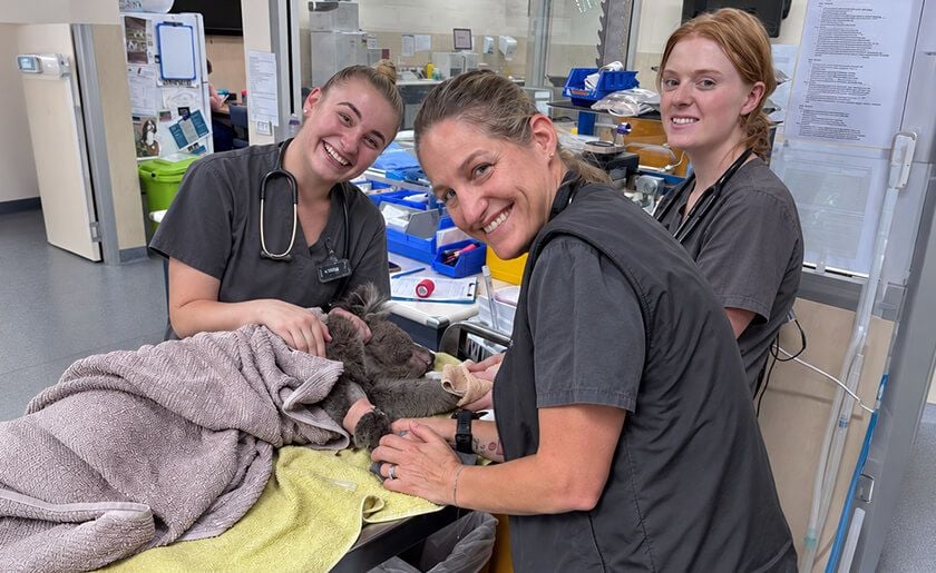 Urgent and Emergency Veterinary Care Urgent and Emergency Veterinary Care